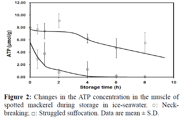 Delaying Post Mortem Changes In The Muscle Of Spotted Mackerel Killed By An Instantaneous Way Of Neck Breaking And Bleeding Insight Medical Publishing